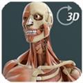 Visual Anatomy 3D(3D虚拟人体解剖) V1.0 Mac版
