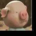 微信小猪跑步表情包 +7 最新免费版