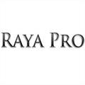 Raya Pro 3.0中文汉化版 免费版