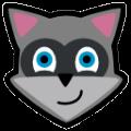 Raccoon(GooglePlay APK下载客户端) V4.10.0 绿色免费版