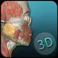 人体解剖学图集PC版 V3.11.4 官方最新版
