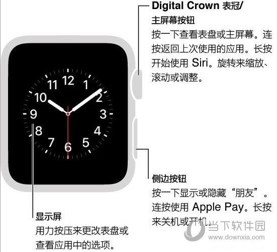 Apple Watch按键怎么用