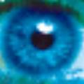 第三只眼监控软件 V18.9 官方免费版